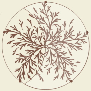 Artemisia Paysagiste